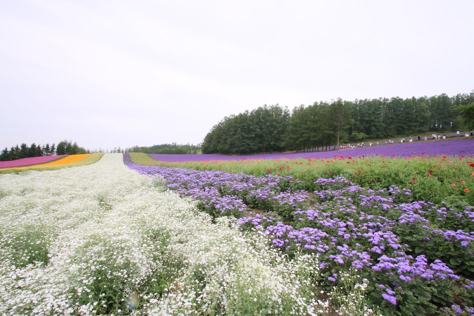 Furano Shiyuirin Hotel Kamifurano Bagian luar foto