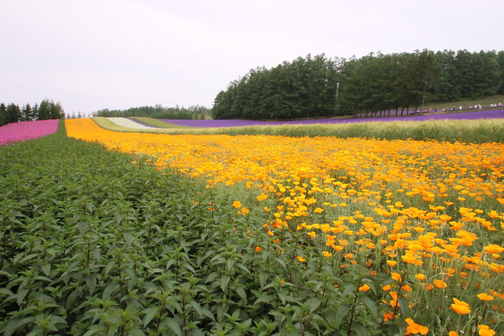 Furano Shiyuirin Hotel Kamifurano Bagian luar foto