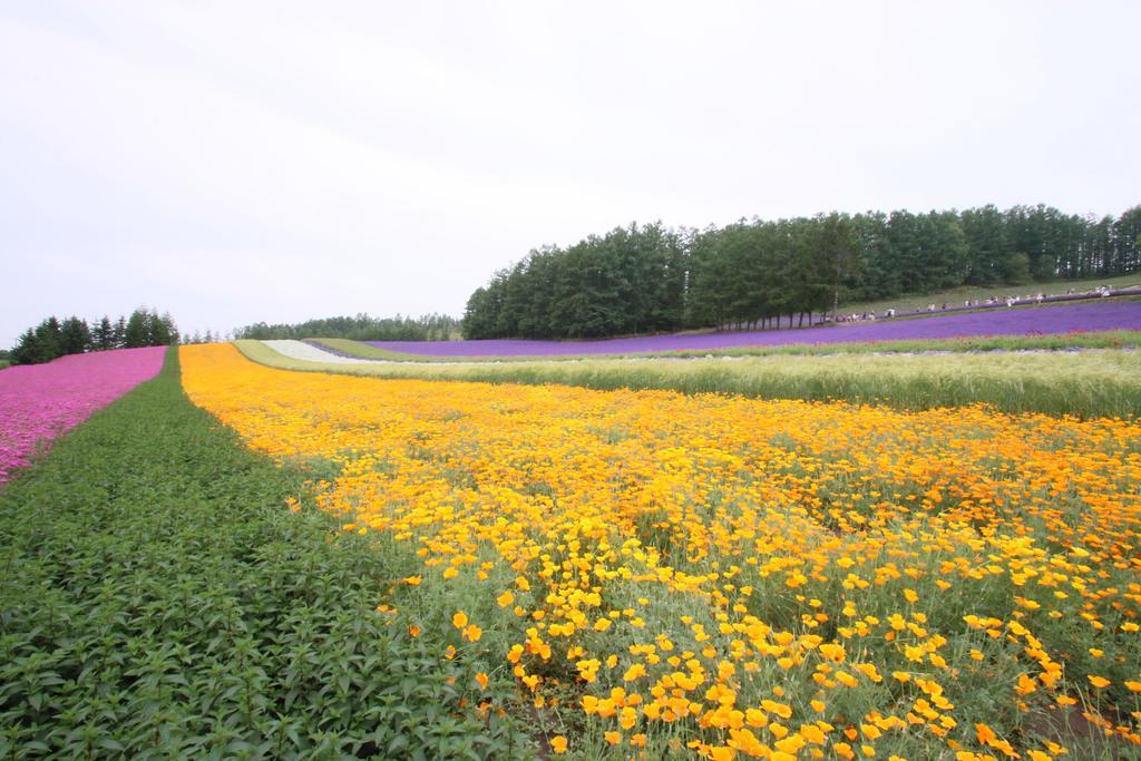 Furano Shiyuirin Hotel Kamifurano Bagian luar foto
